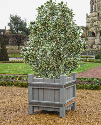 Blomsterkrukke - Versailles