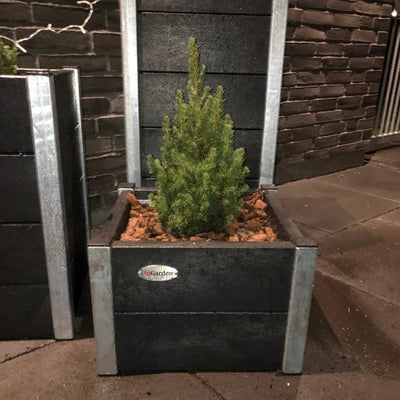 Lille Blomsterkumme - Helårs - Plastplanker -  - Blomsterkrukke