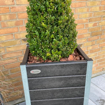 Stor Blomsterkumme - Helårs