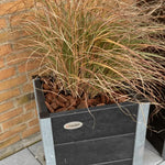 Medium Blomsterkumme - Helårs - Plastplanker -  - Blomsterkrukke